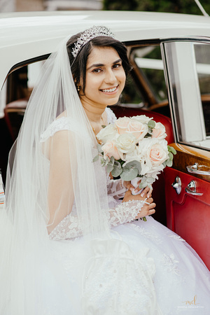Danielle_Nimesh_Preview-9